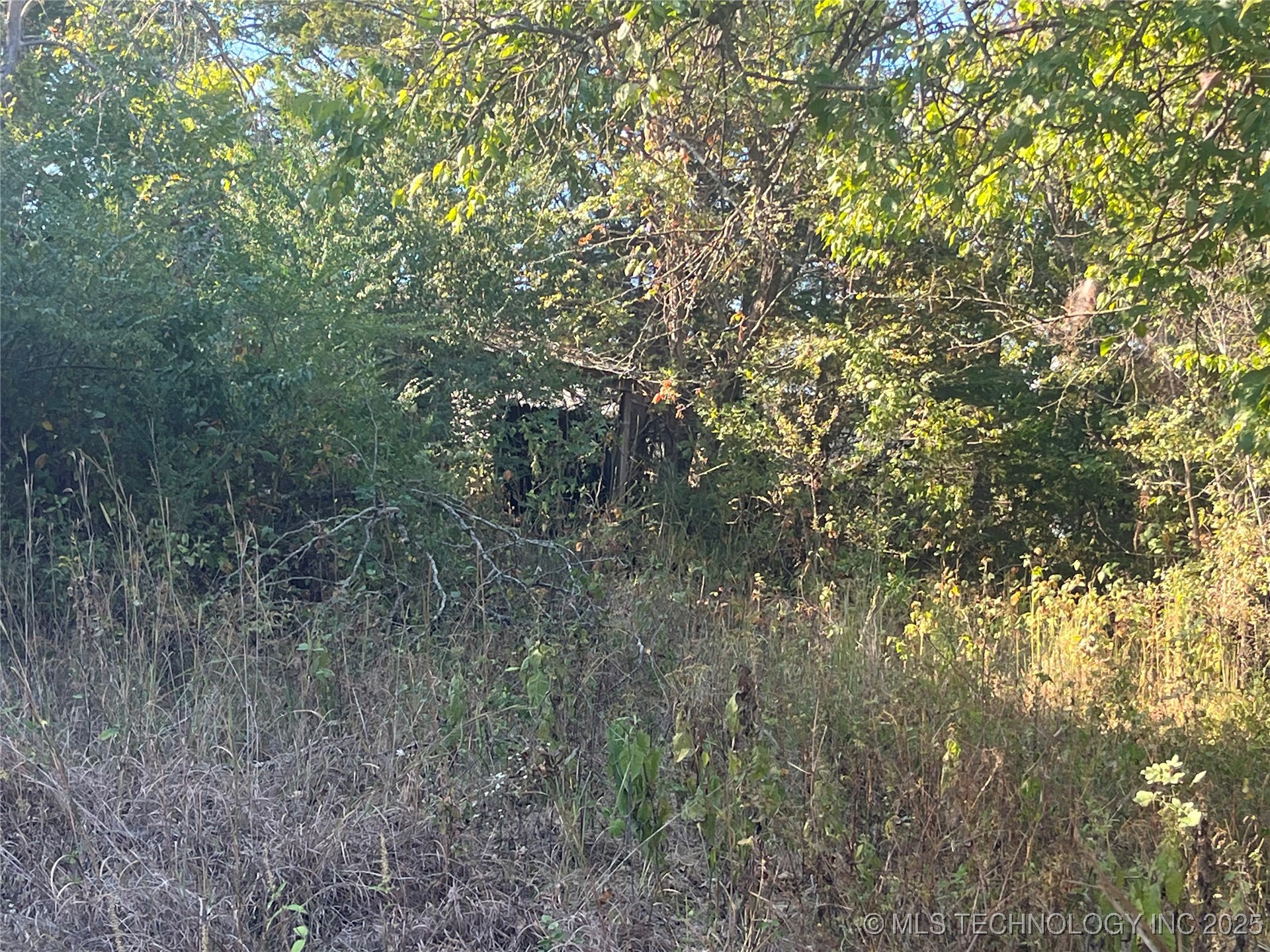 20538 County Road 1480 Street Property Photo 12