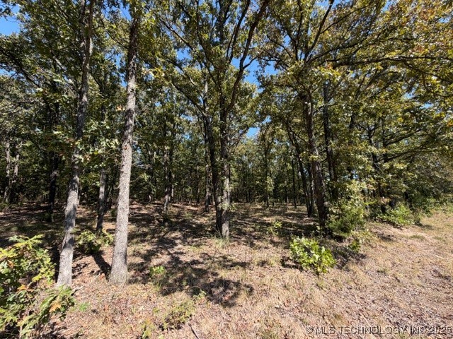 5 Brandy Lane Property Photo 3