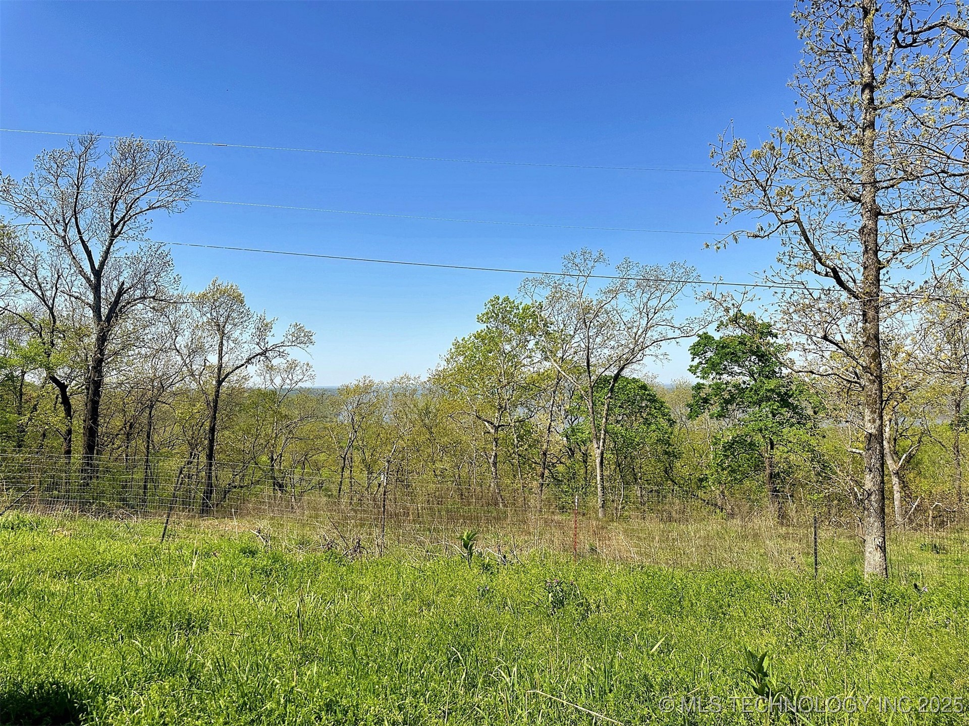 13017 N Quail Avenue Property Photo 7