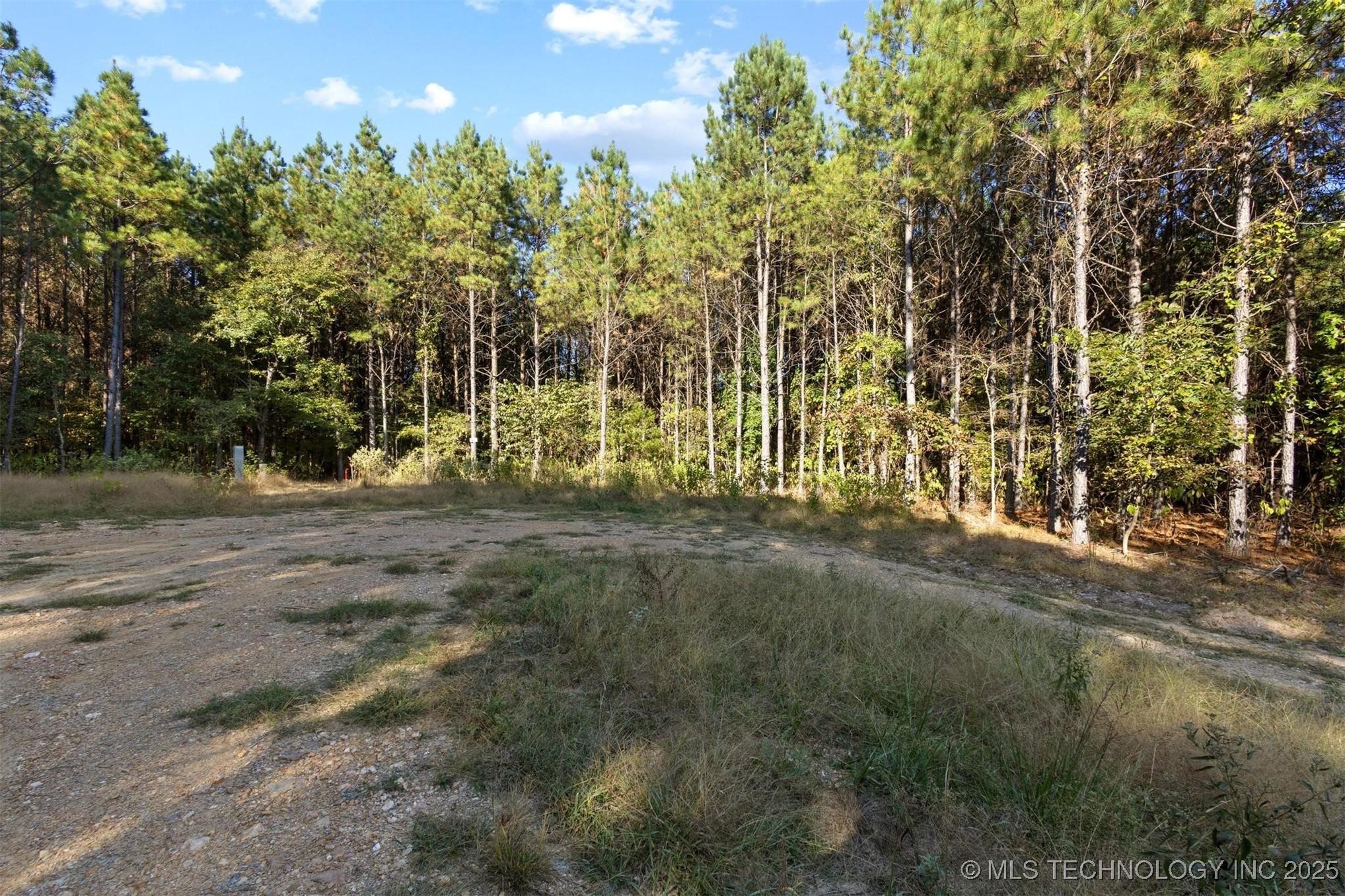 134 Wolf Tree Trail Property Photo 1