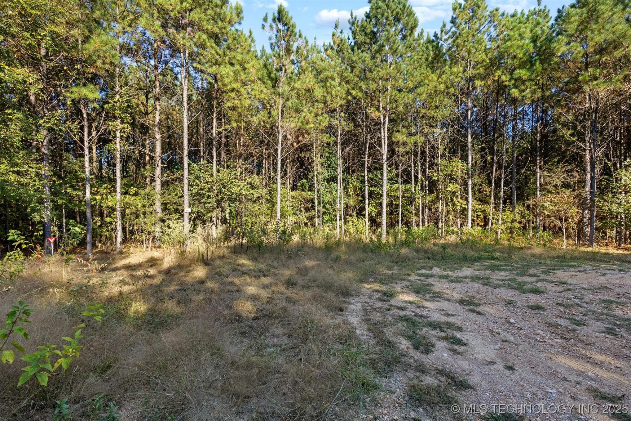 134 Wolf Tree Trail Property Photo 2