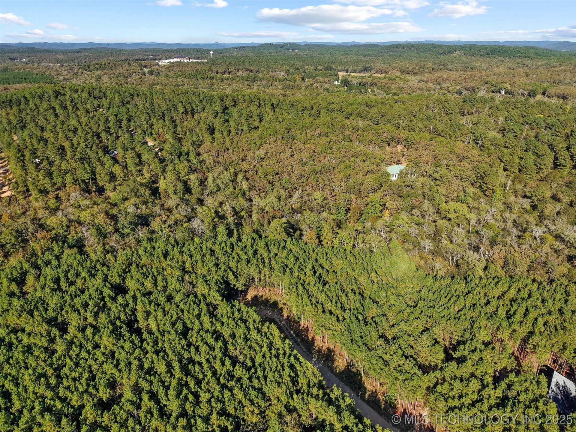 134 Wolf Tree Trail Property Photo 5