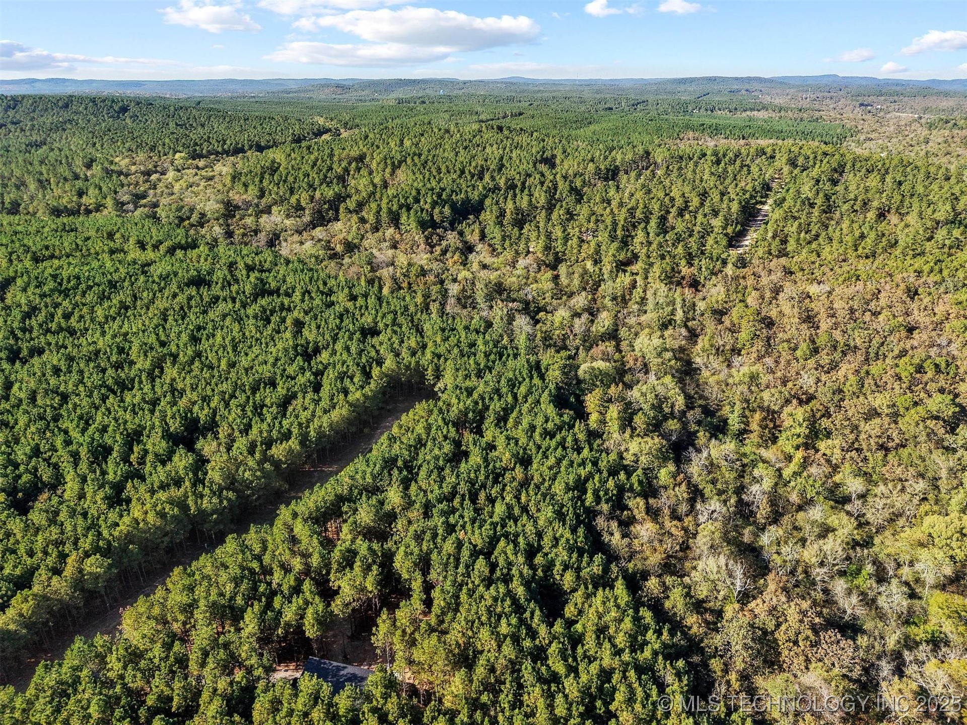 134 Wolf Tree Trail Property Photo 9