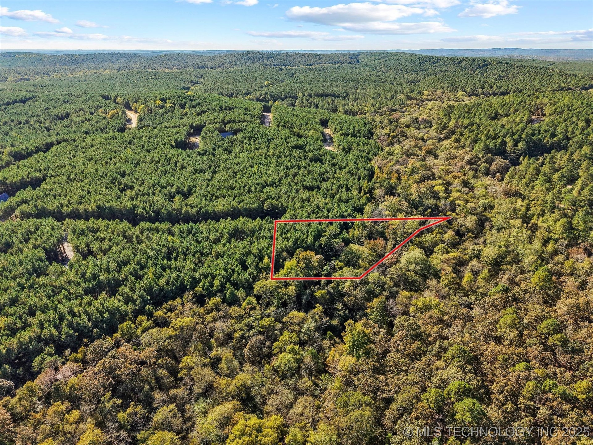 134 Wolf Tree Trail Property Photo 10