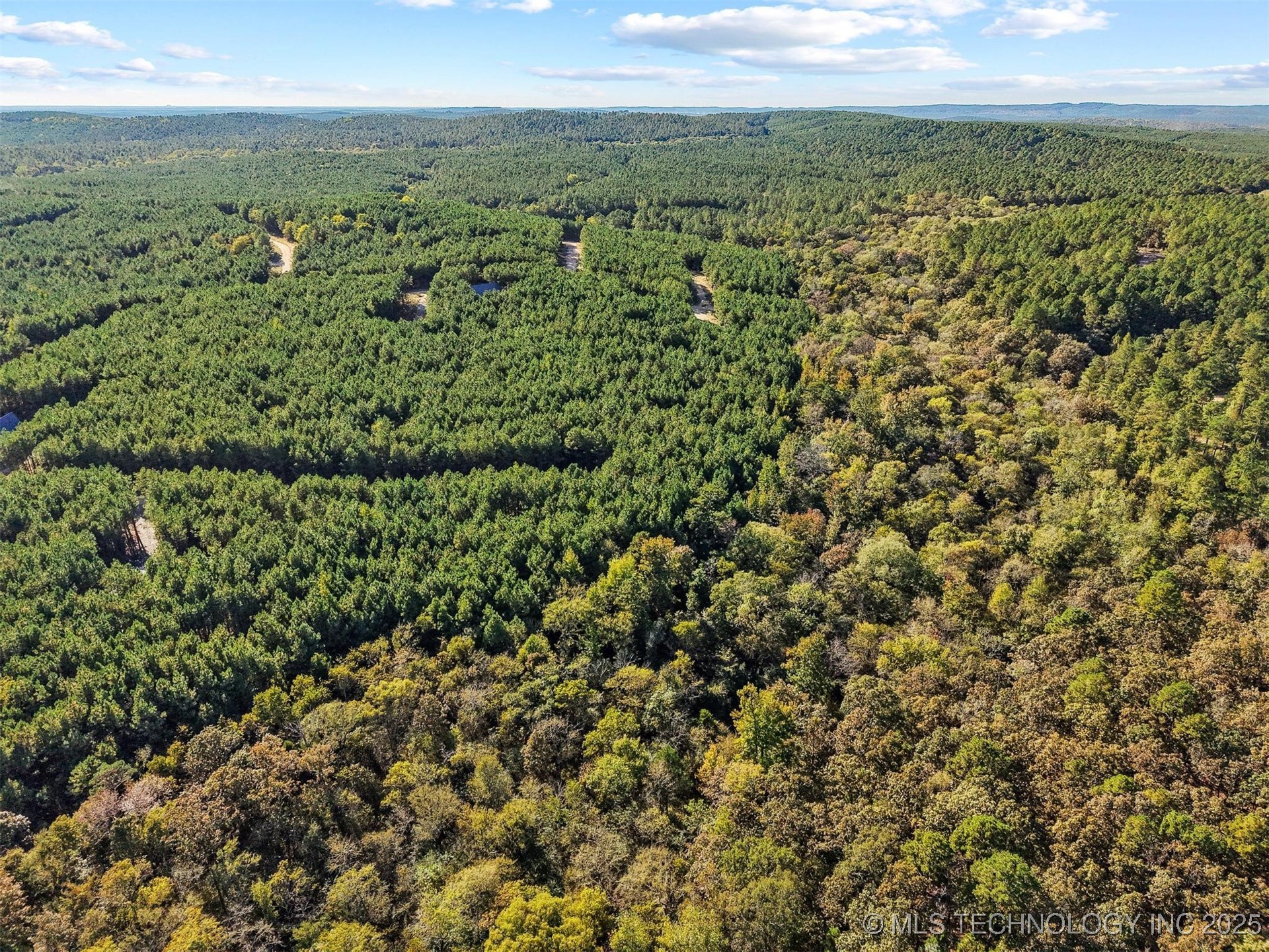 134 Wolf Tree Trail Property Photo 11