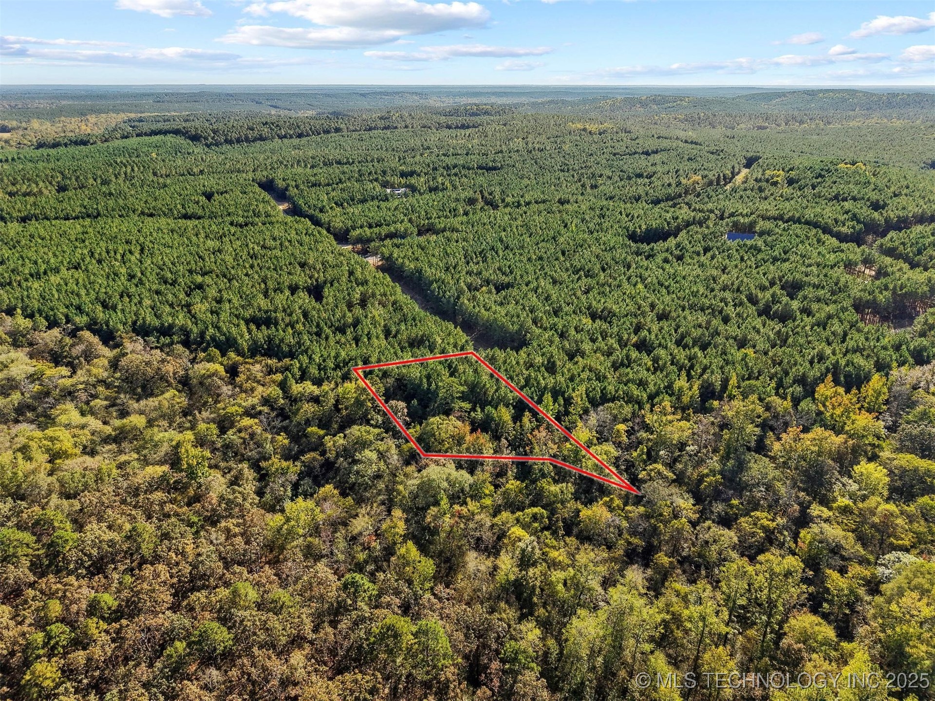 134 Wolf Tree Trail Property Photo 12