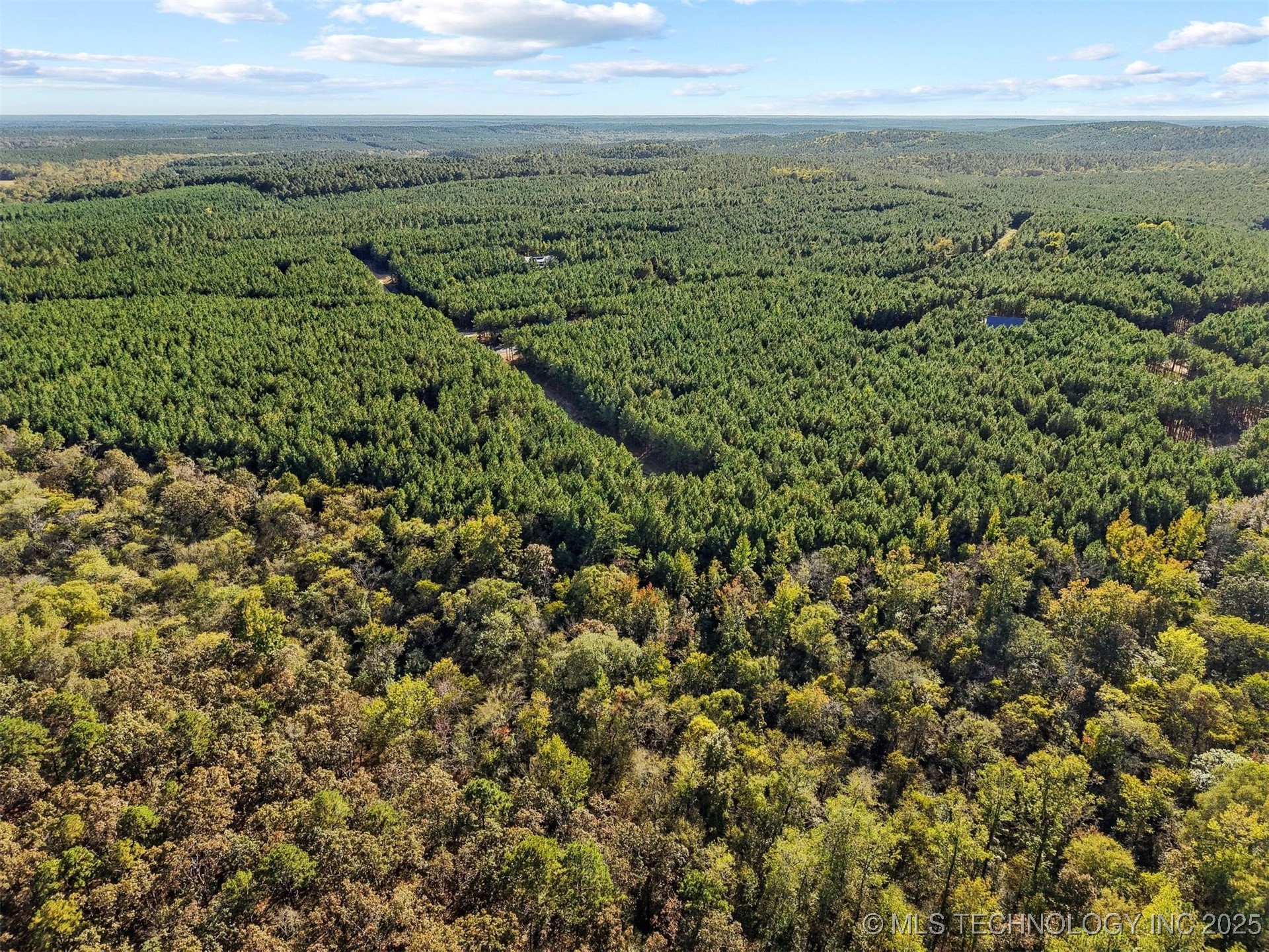 134 Wolf Tree Trail Property Photo 13