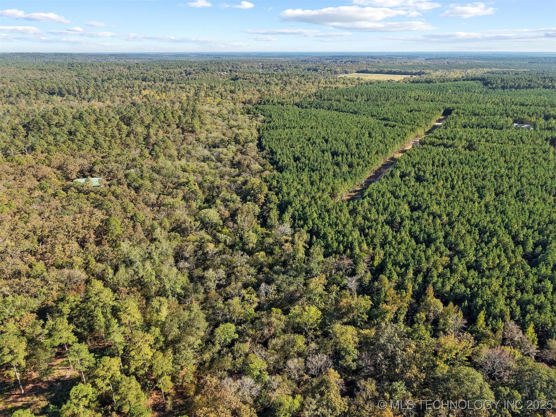 134 Wolf Tree Trail Property Photo 15