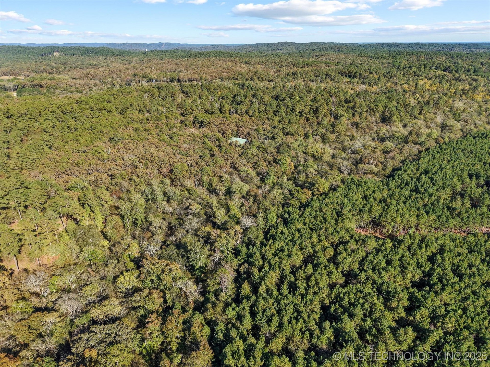 134 Wolf Tree Trail Property Photo 17