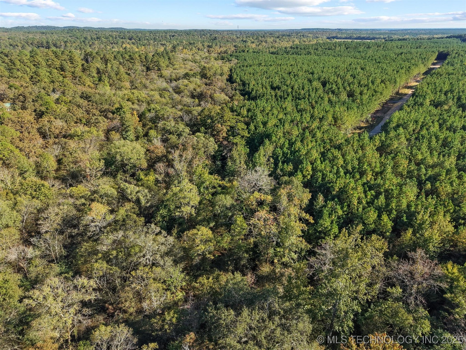 134 Wolf Tree Trail Property Photo 22