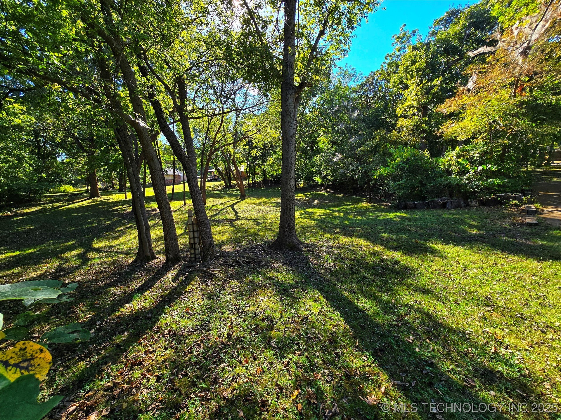 2542939 Property Photo 10