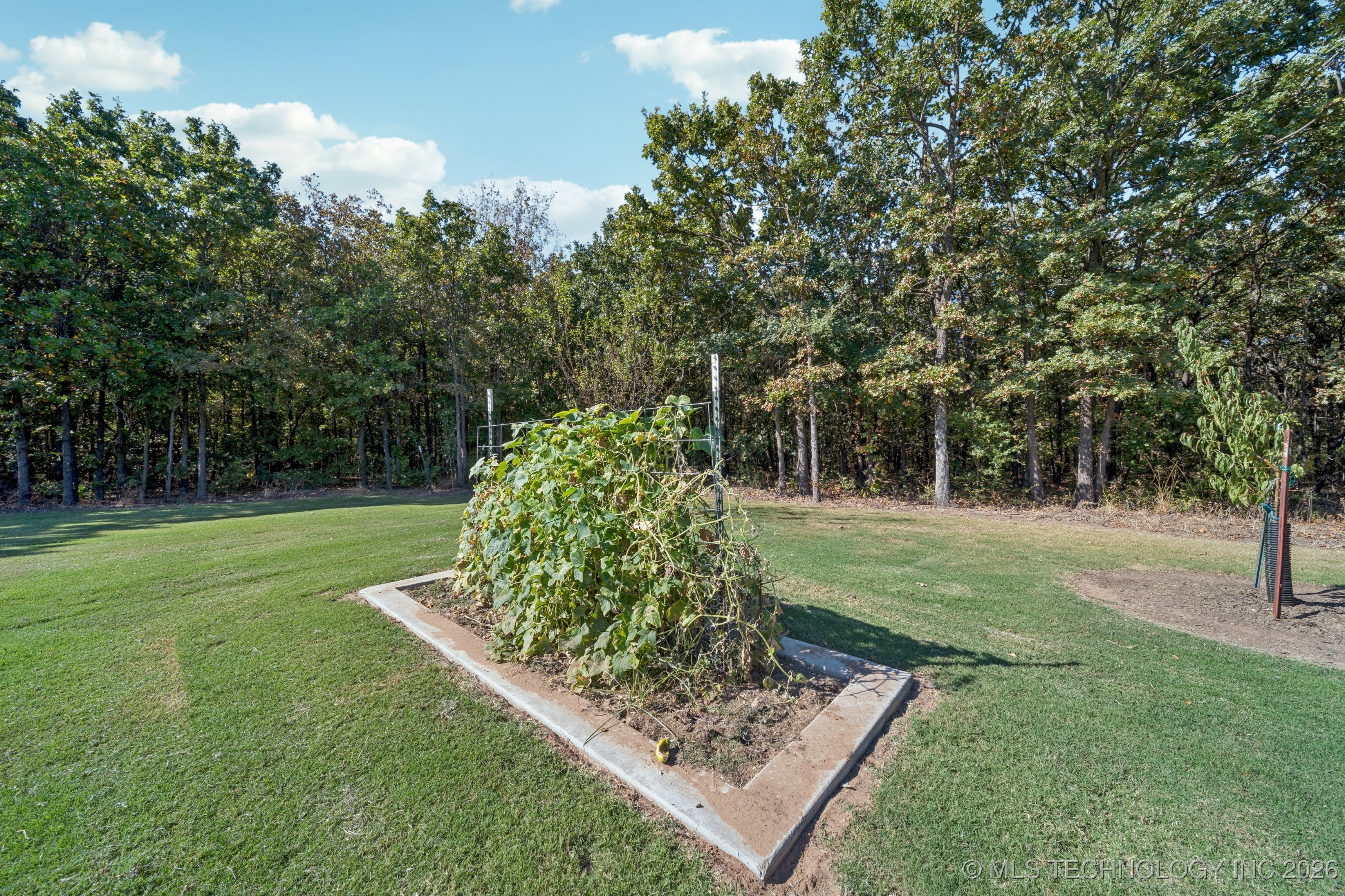 11319 Mary Knox Drive Property Photo 55