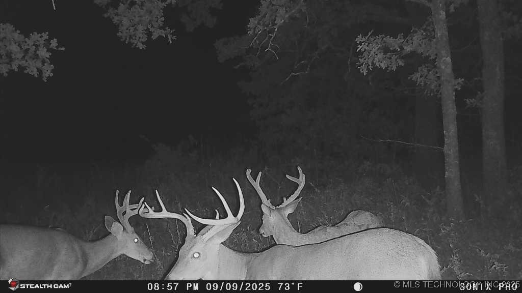 160 Bowring Road Property Photo 3