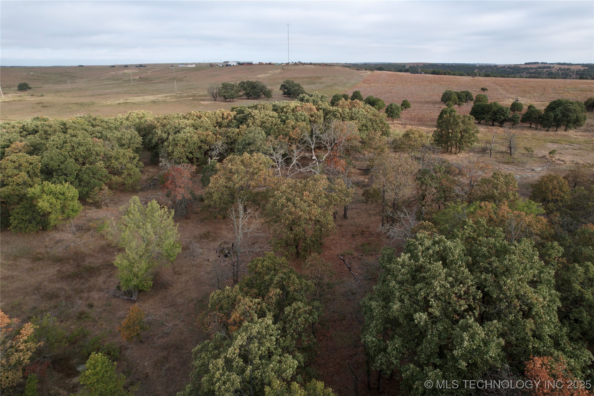 160 Bowring Road Property Photo 28