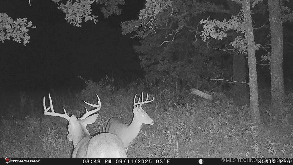 160 Bowring Road Property Photo 30