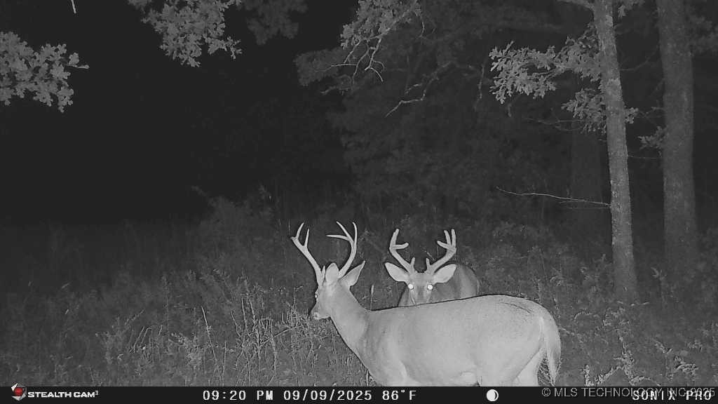 160 Bowring Road Property Photo 31