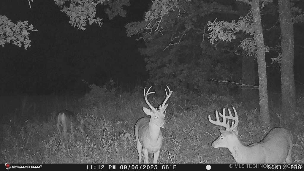 160 Bowring Road Property Photo 32