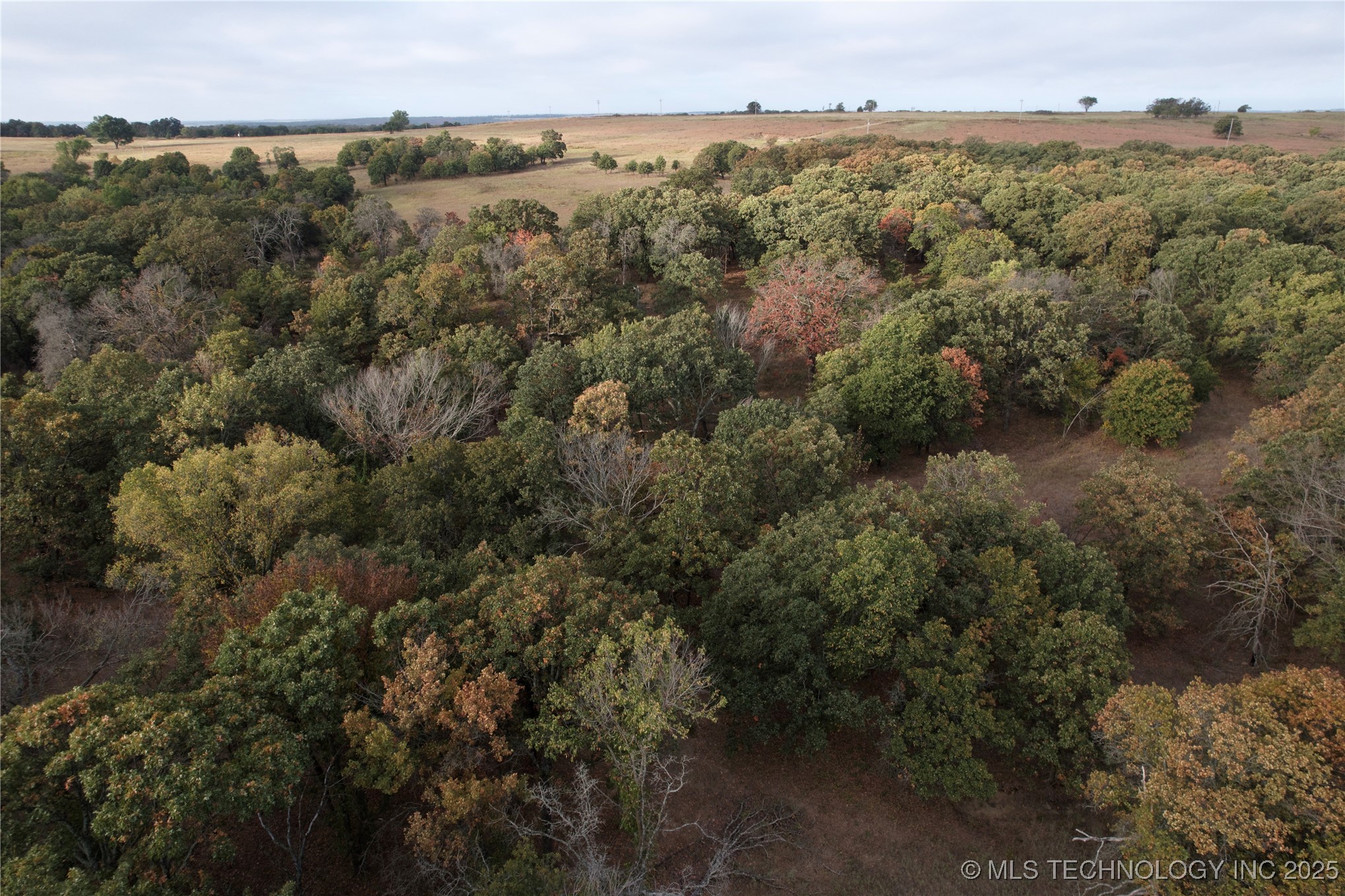 158 Bowring Road Property Photo 7