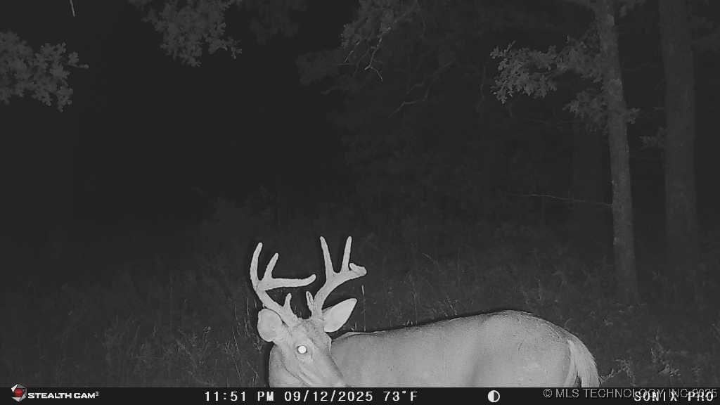 158 Bowring Road Property Photo 26