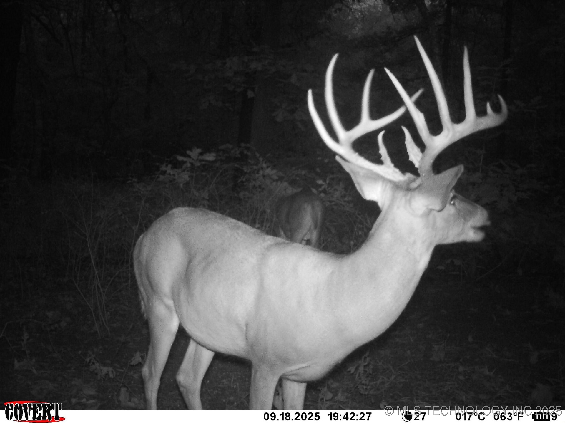 46029 S 660 Property Photo 5