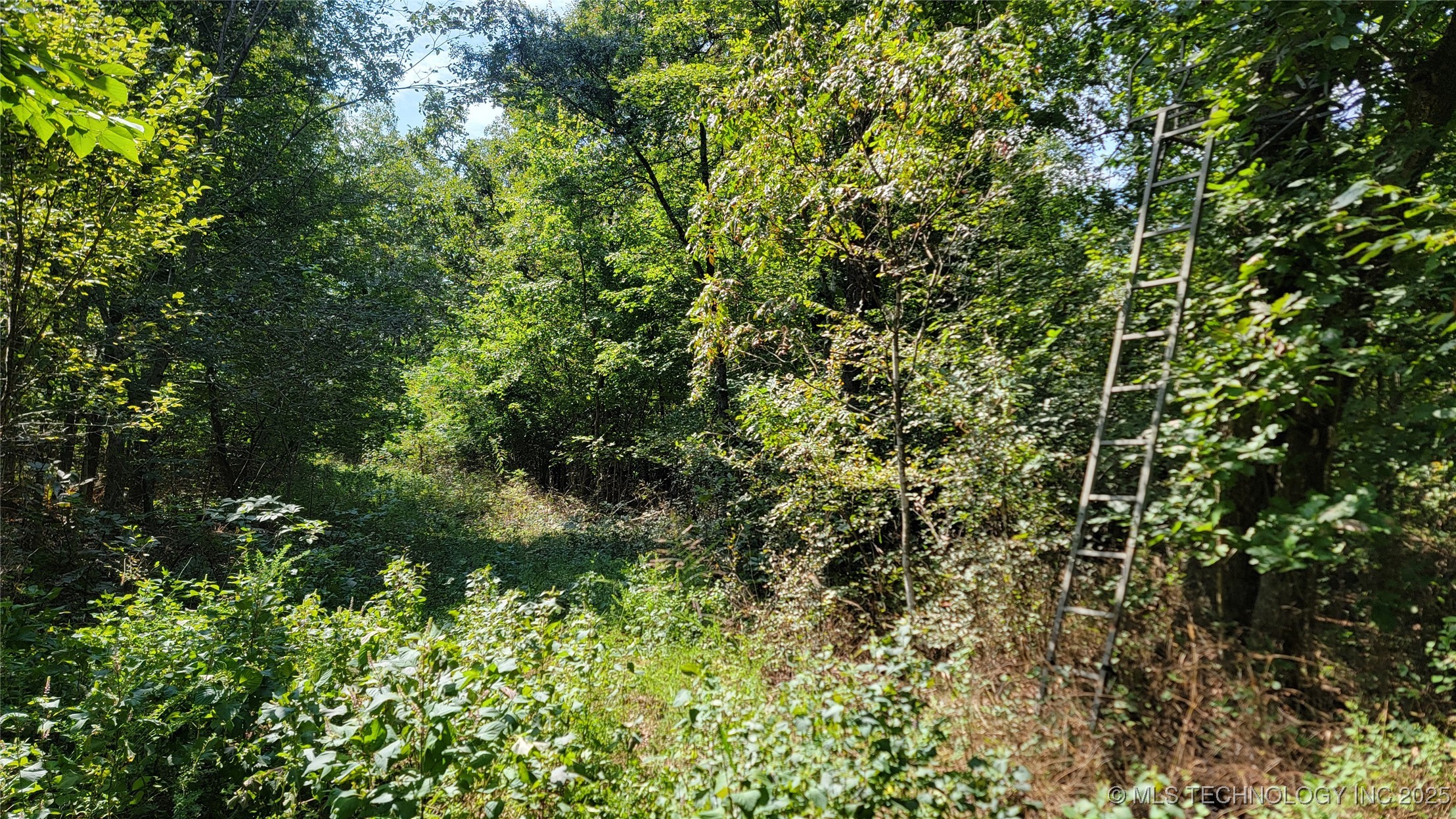 46029 S 660 Property Photo 31