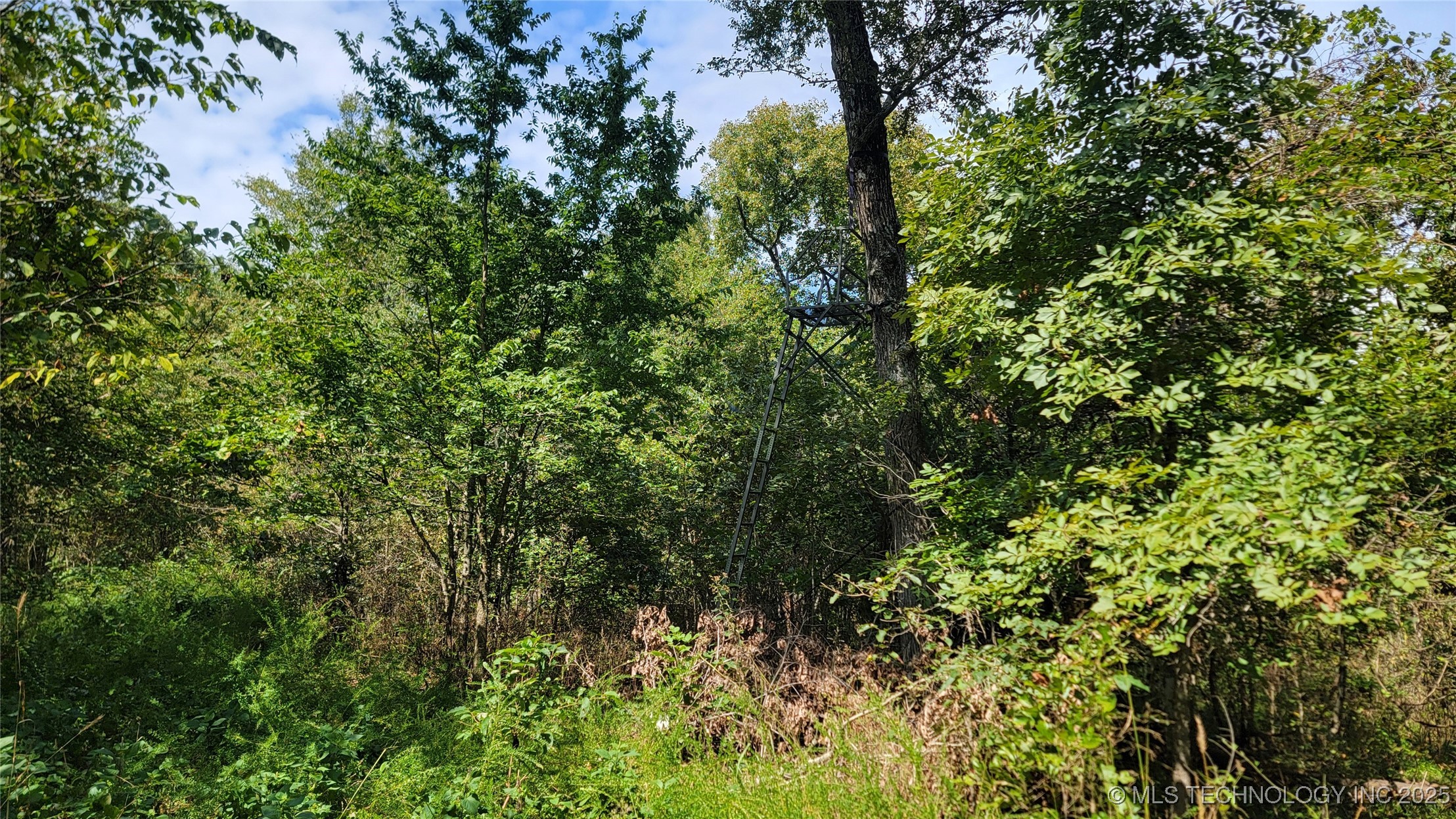 46029 S 660 Property Photo 32