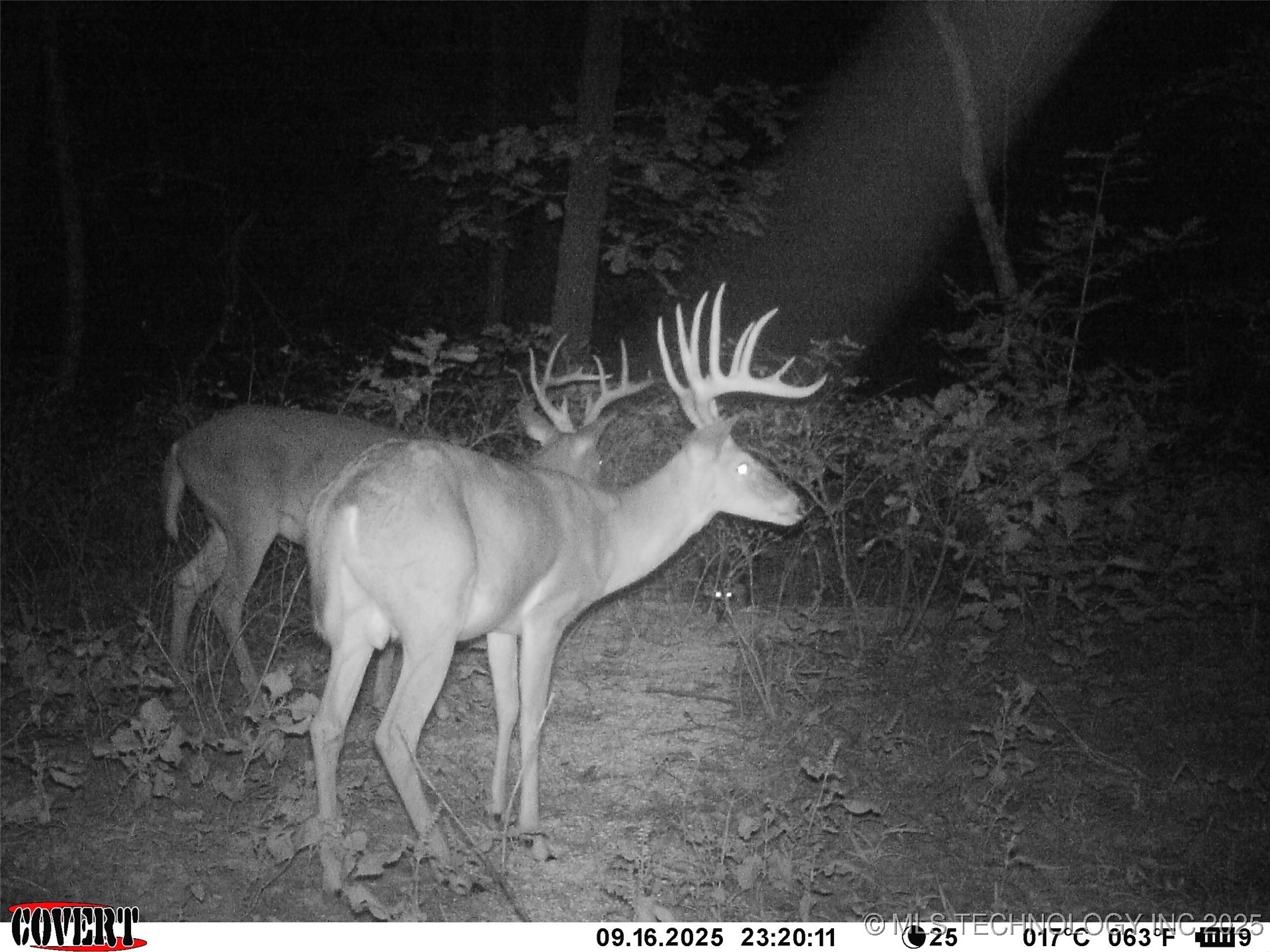 46029 S 660 Property Photo 44