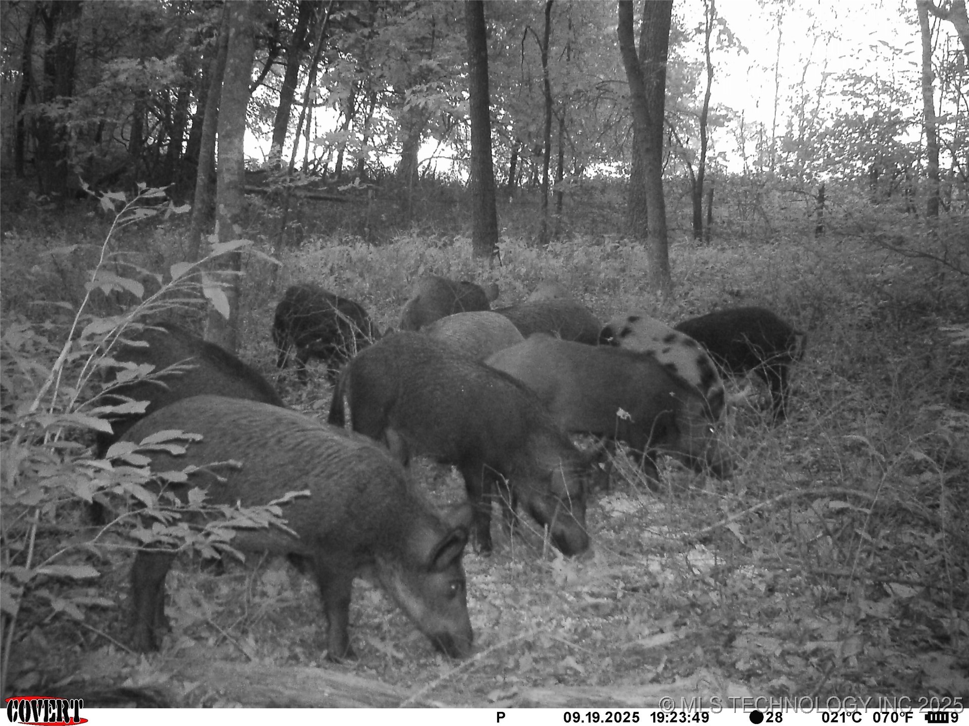 46029 S 660 Property Photo 45