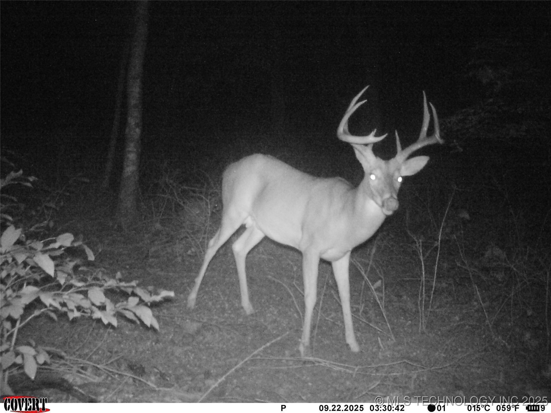 46029 S 660 Property Photo 46