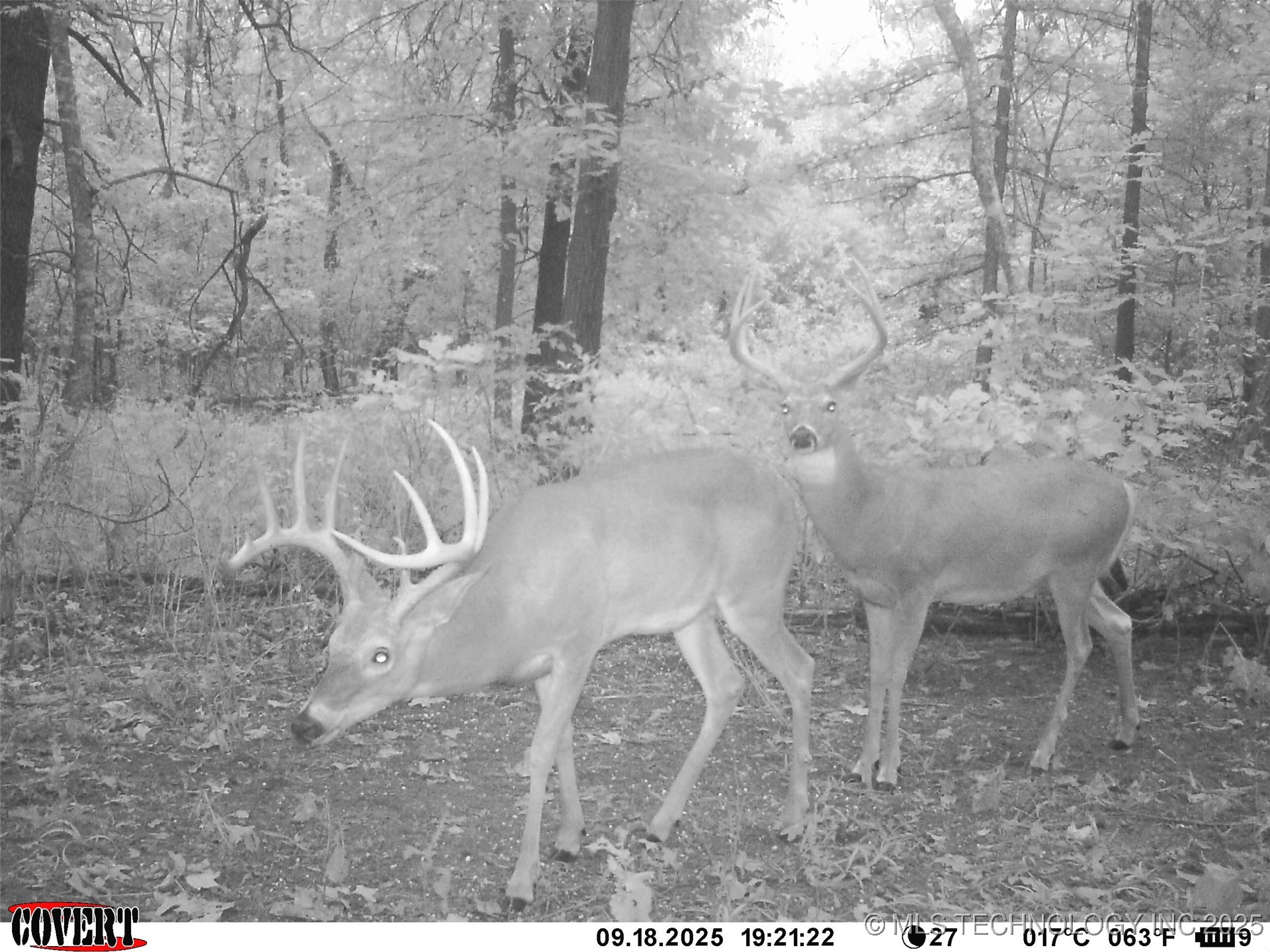 46029 S 660 Property Photo 47