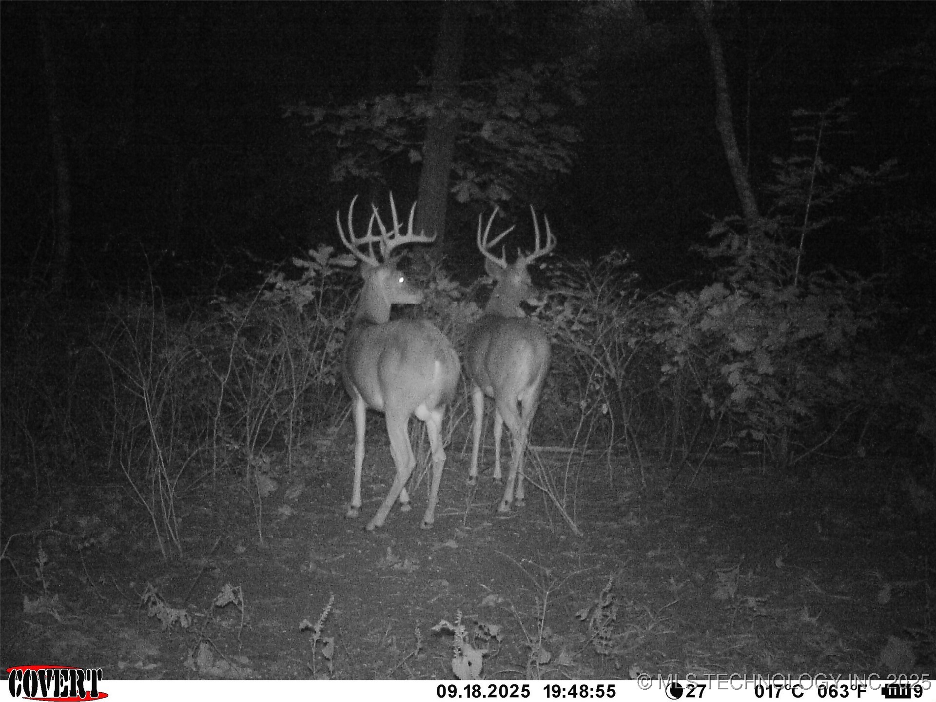 46029 S 660 Property Photo 48