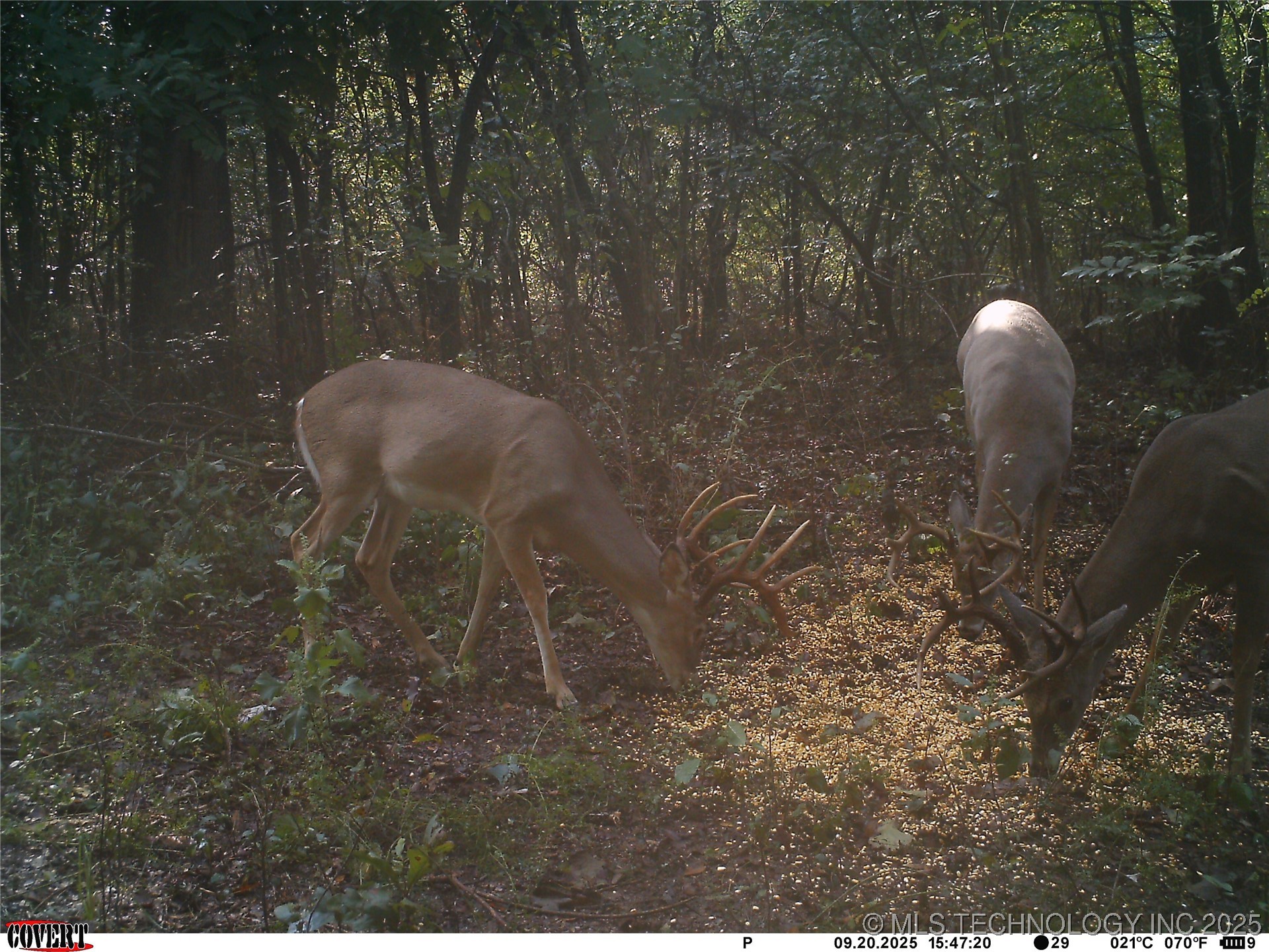 46029 S 660 Property Photo 49