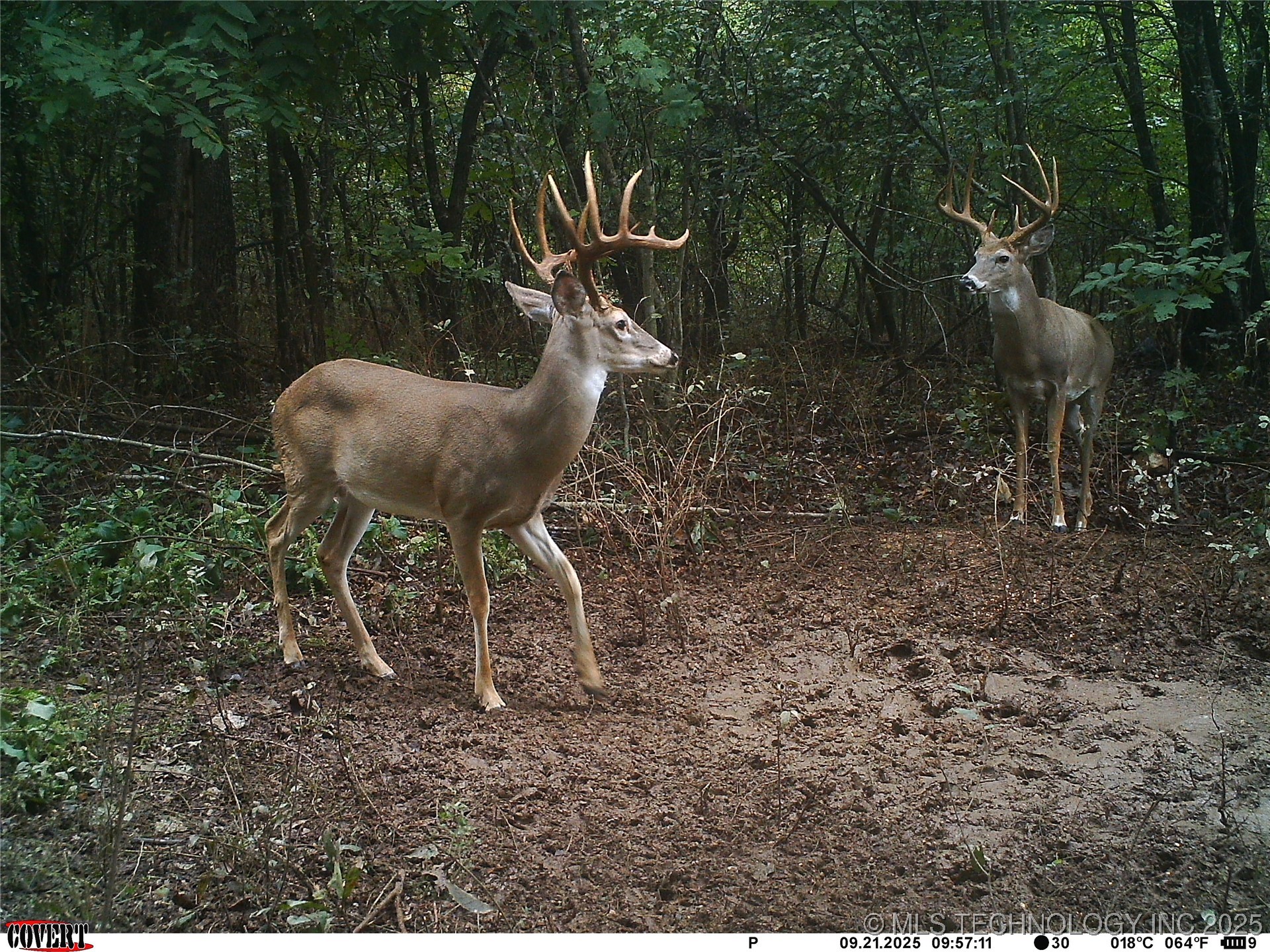 46029 S 660 Property Photo 50