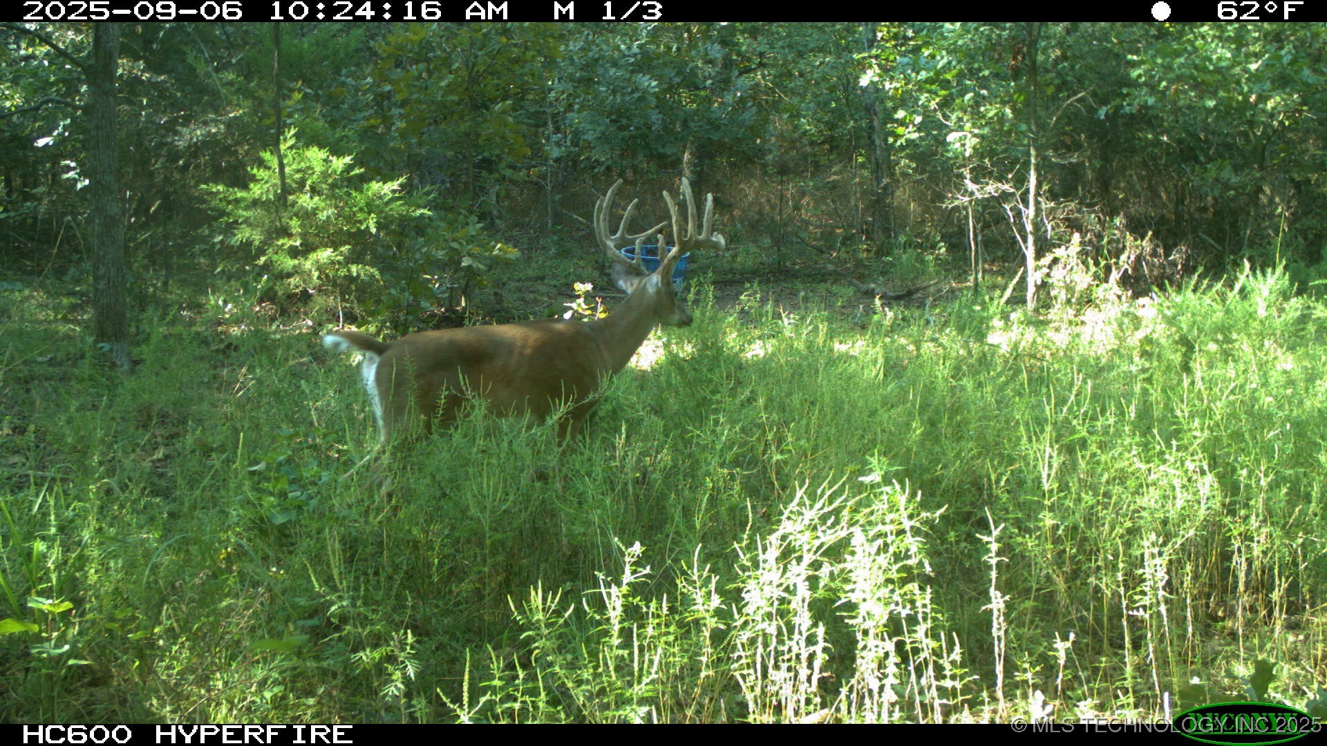 46029 S 660 Property Photo 51