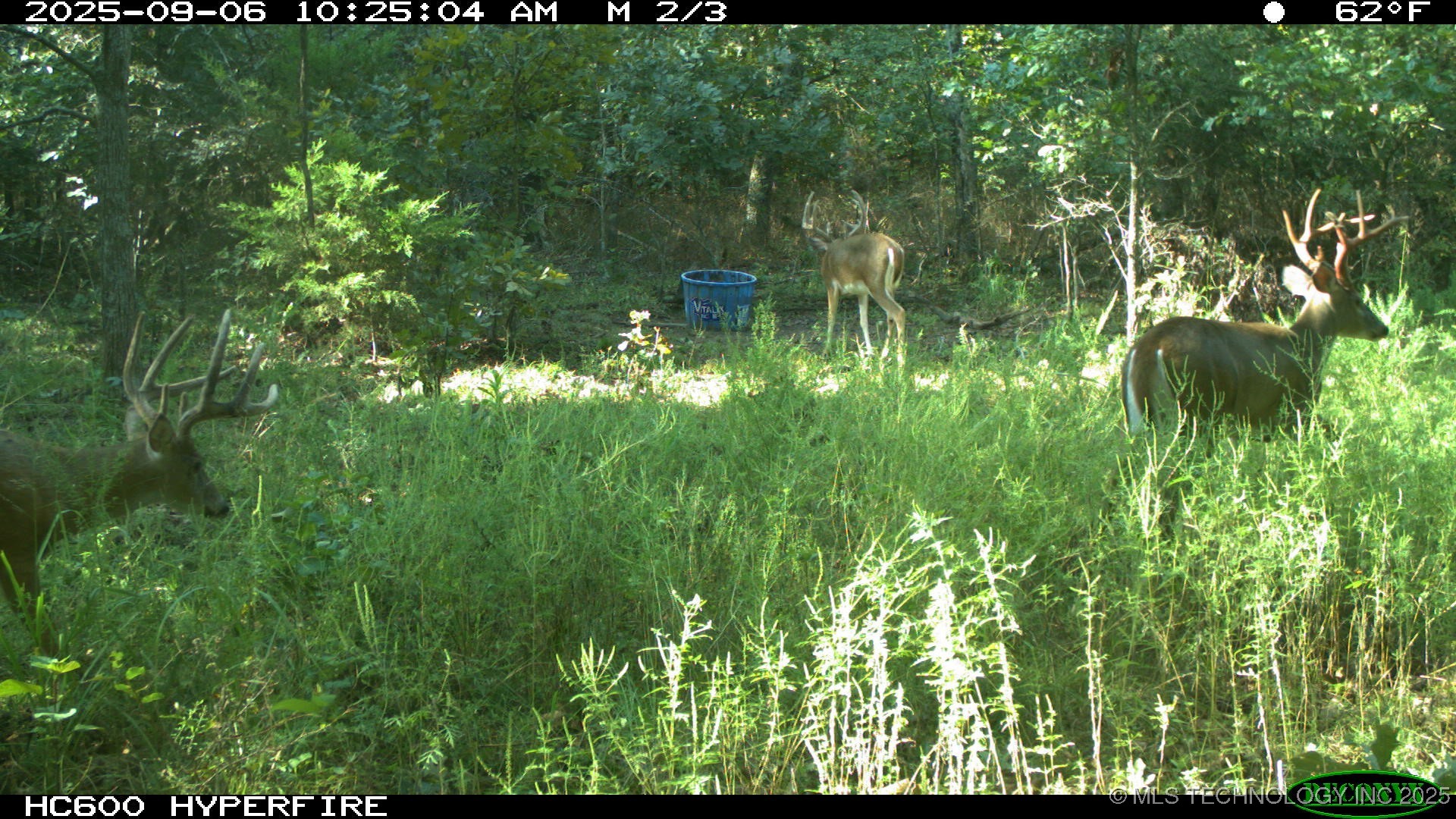 46029 S 660 Property Photo 52