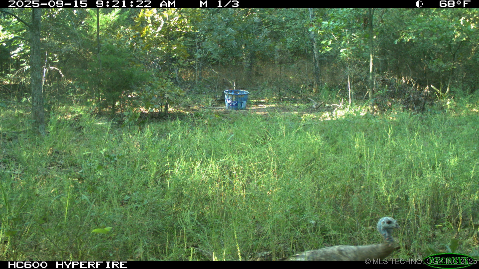 46029 S 660 Property Photo 53