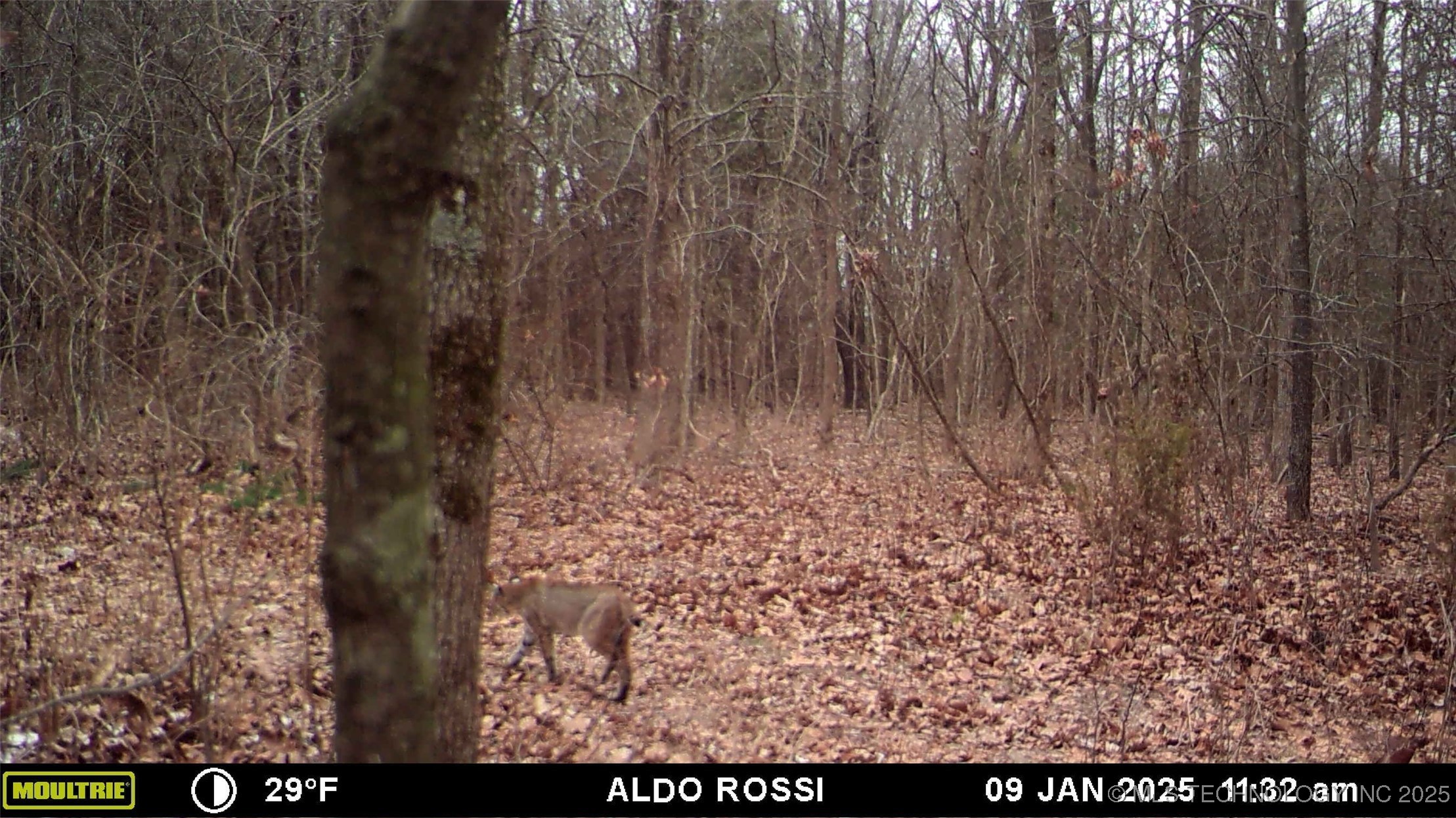 46029 S 660 Property Photo 54