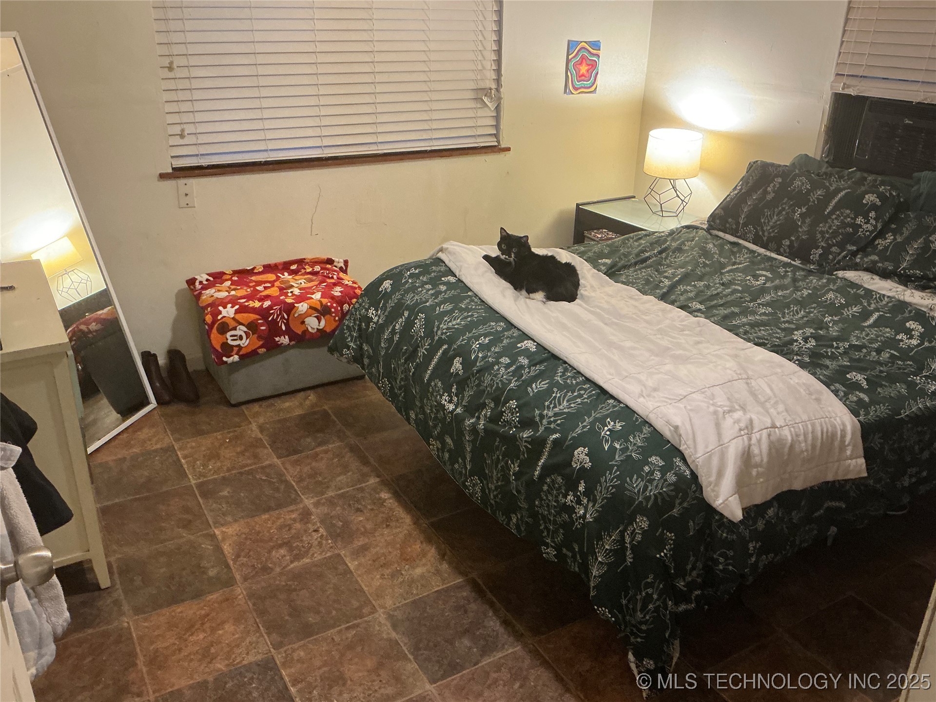 1325 N Vinita Avenue Property Photo 11