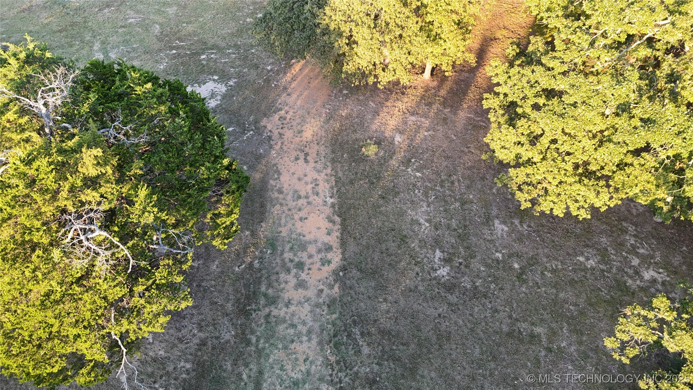 1429 Easy Property Photo 4