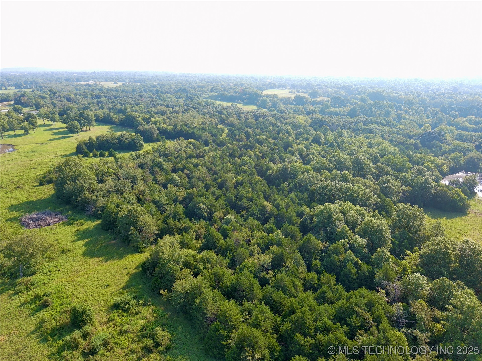 28360 Arbeka Road Property Photo 4