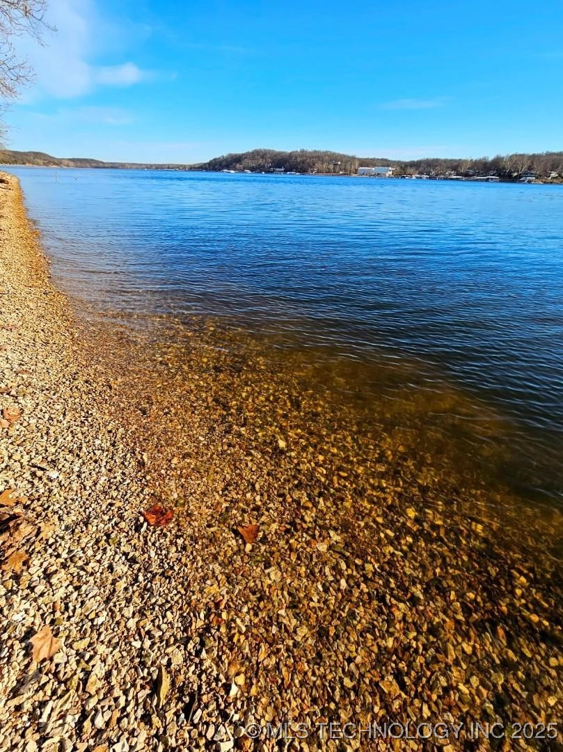 35880 540 Trail S Property Photo 3