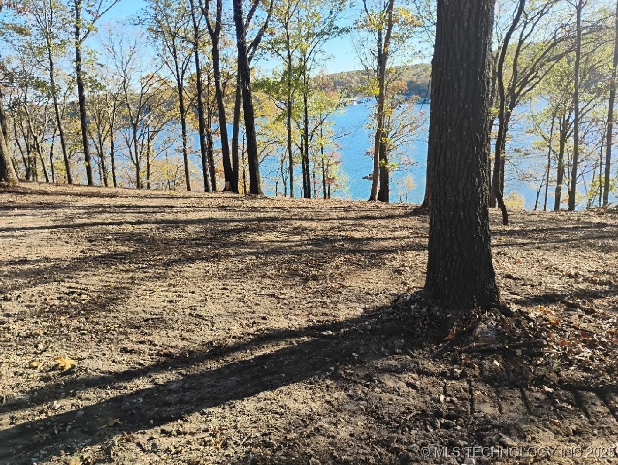 35880 540 Trail S Property Photo 4