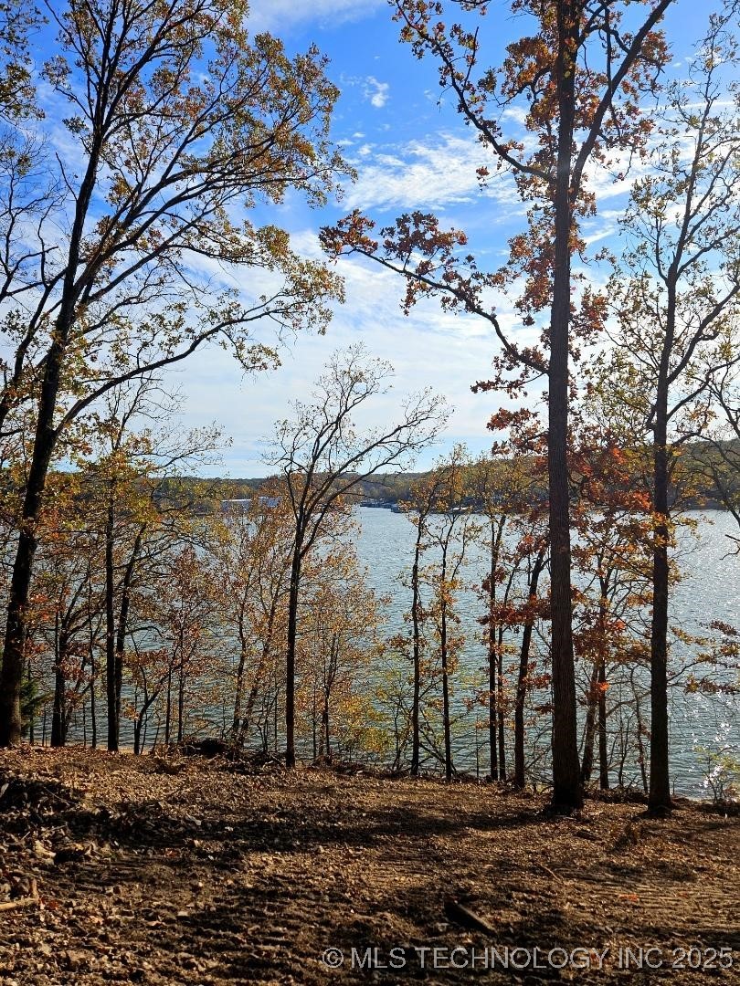 35880 540 Trail S Property Photo 5