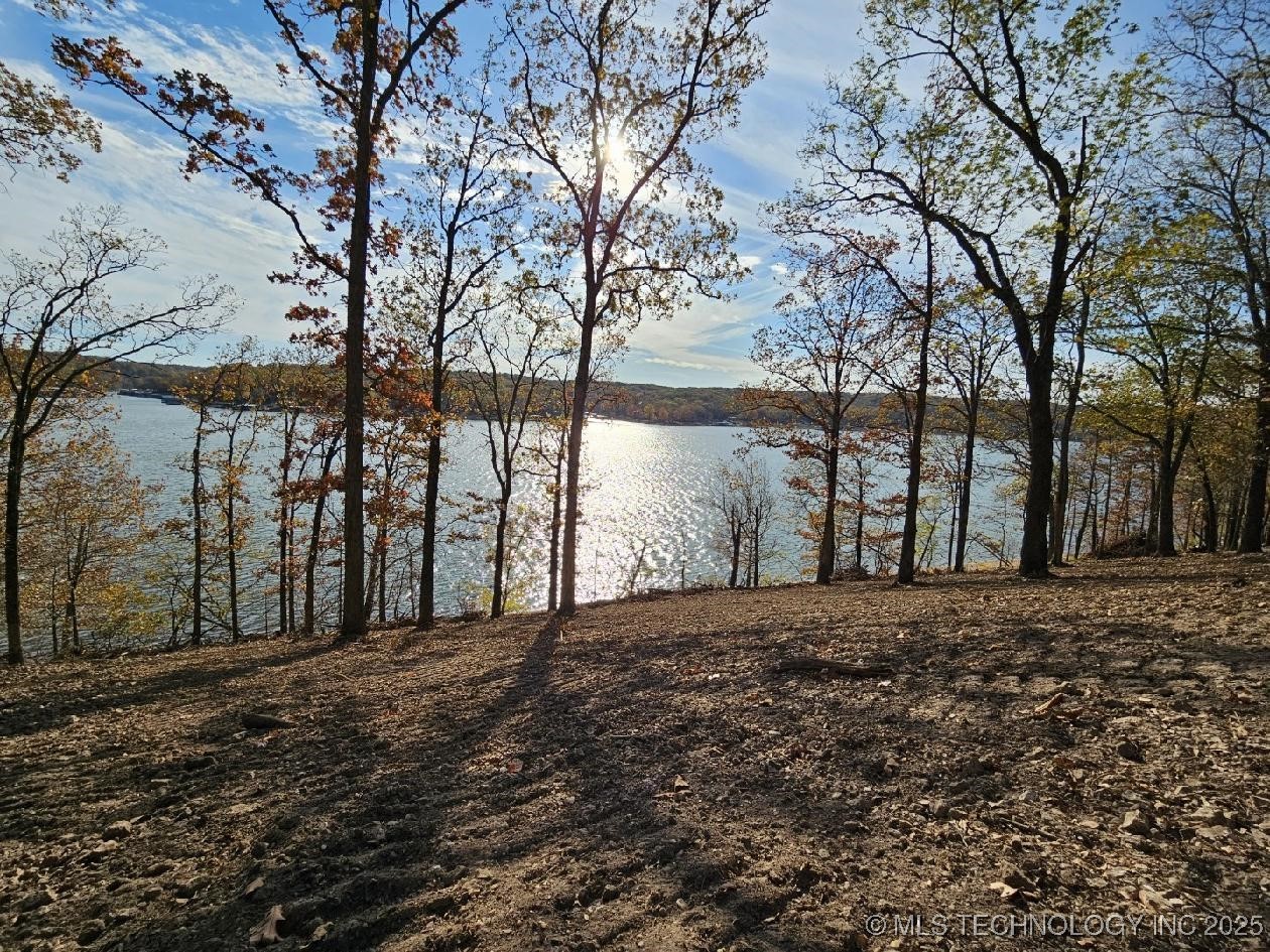 35880 540 Trail S Property Photo 6