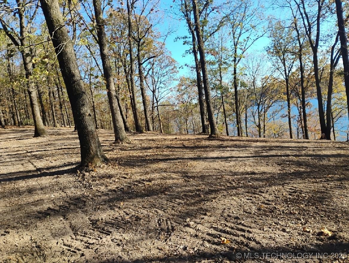 35880 540 Trail S Property Photo 7