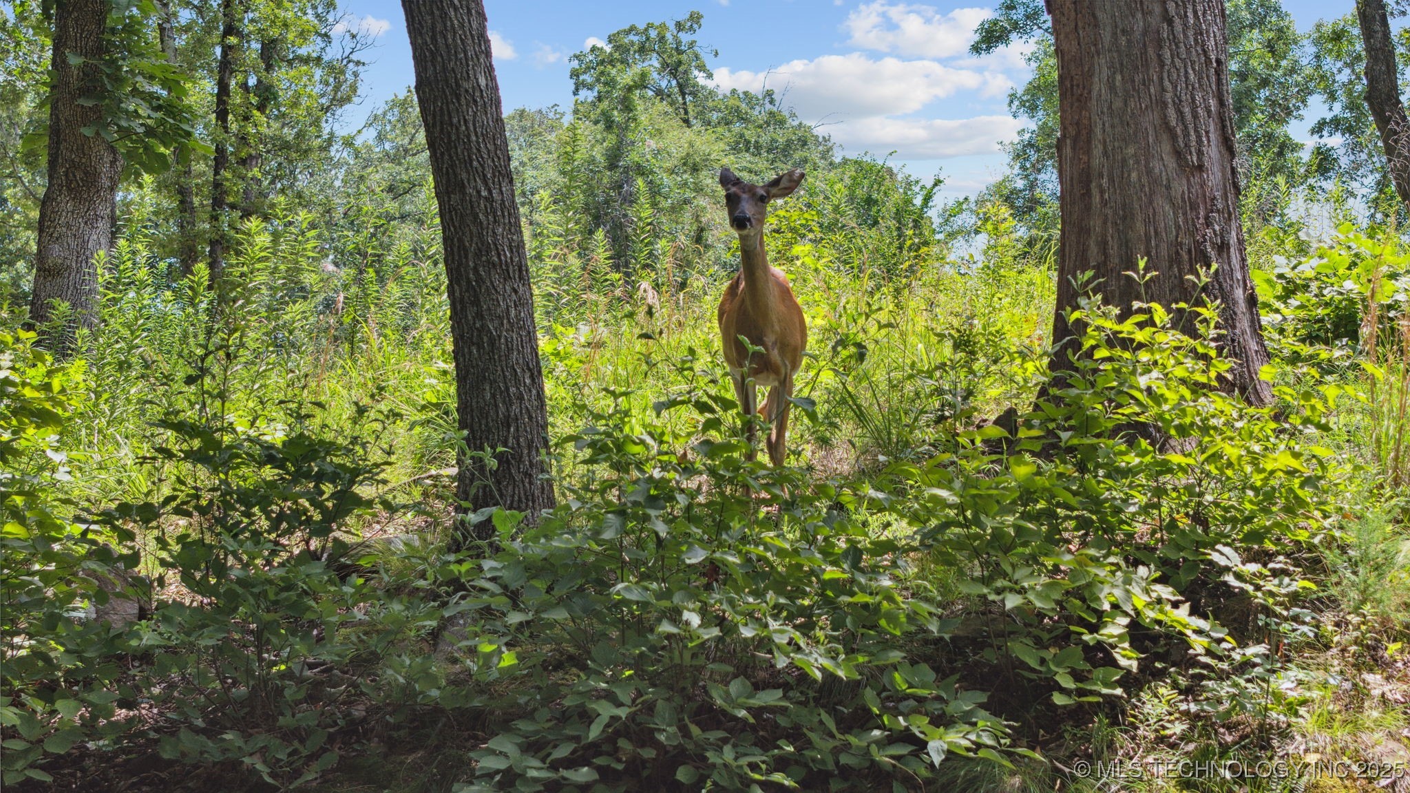 18870 Timberlake Drive Property Photo 12