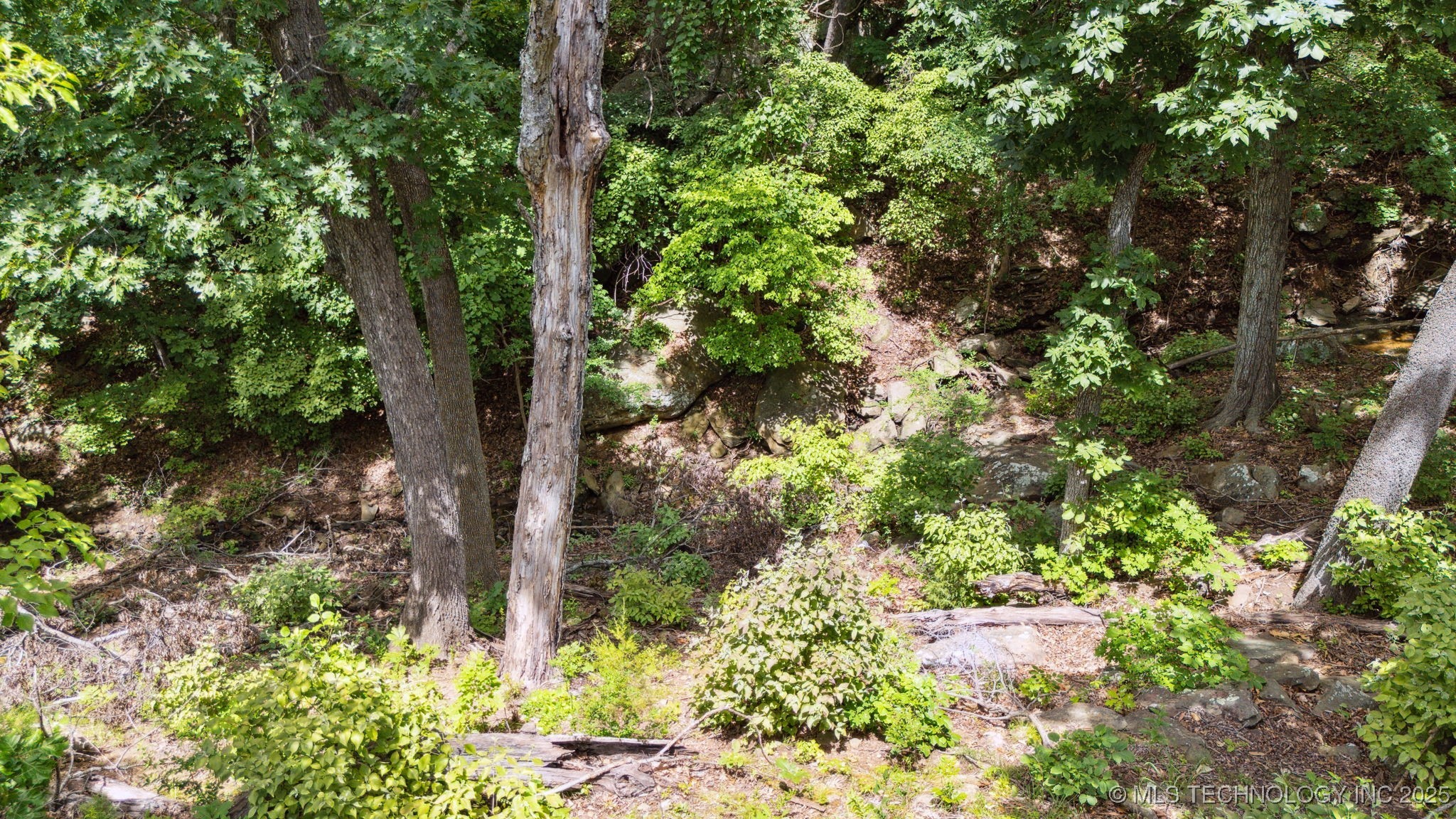 18870 Timberlake Drive Property Photo 13