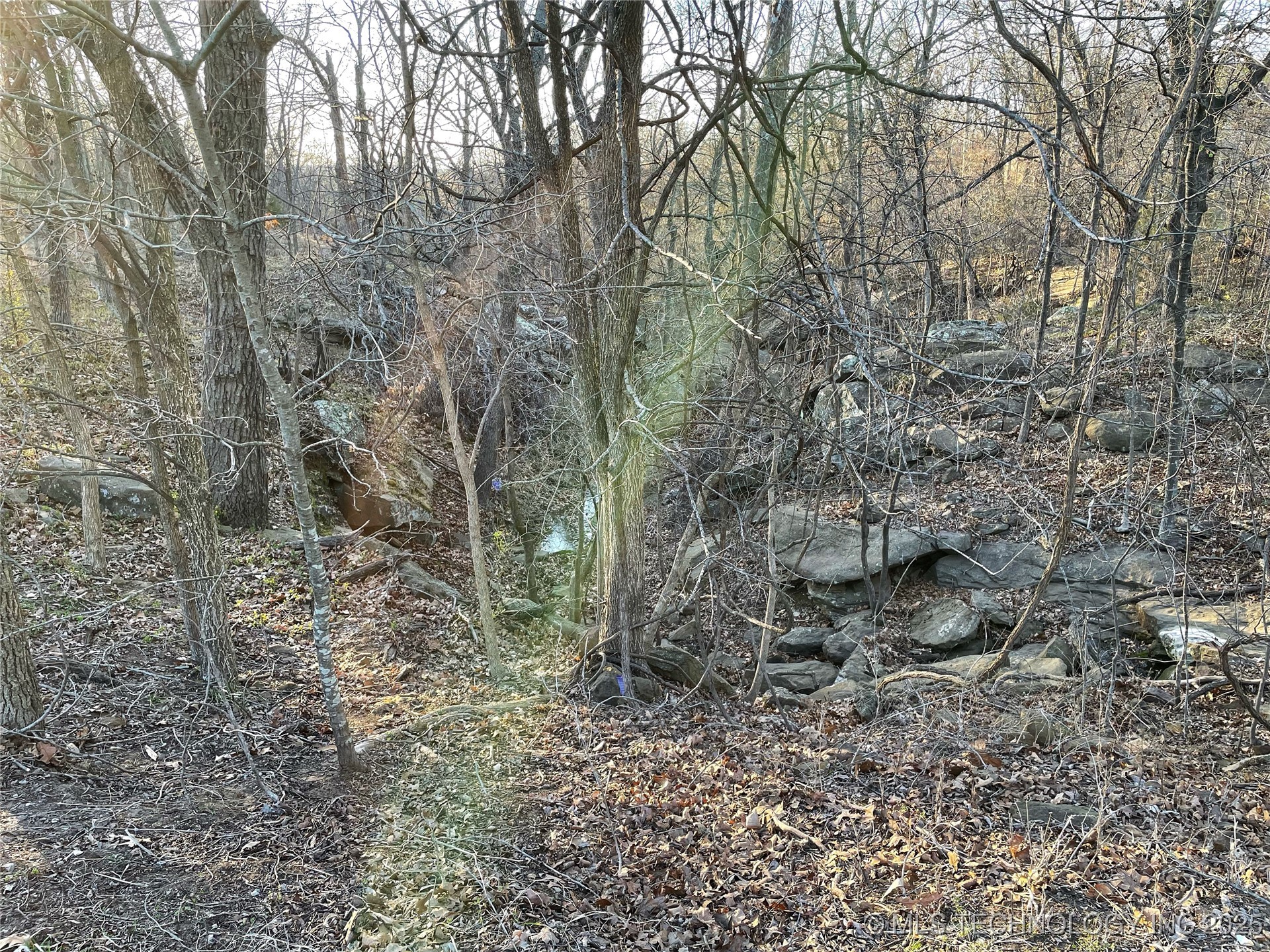 18870 Timberlake Drive Property Photo 17