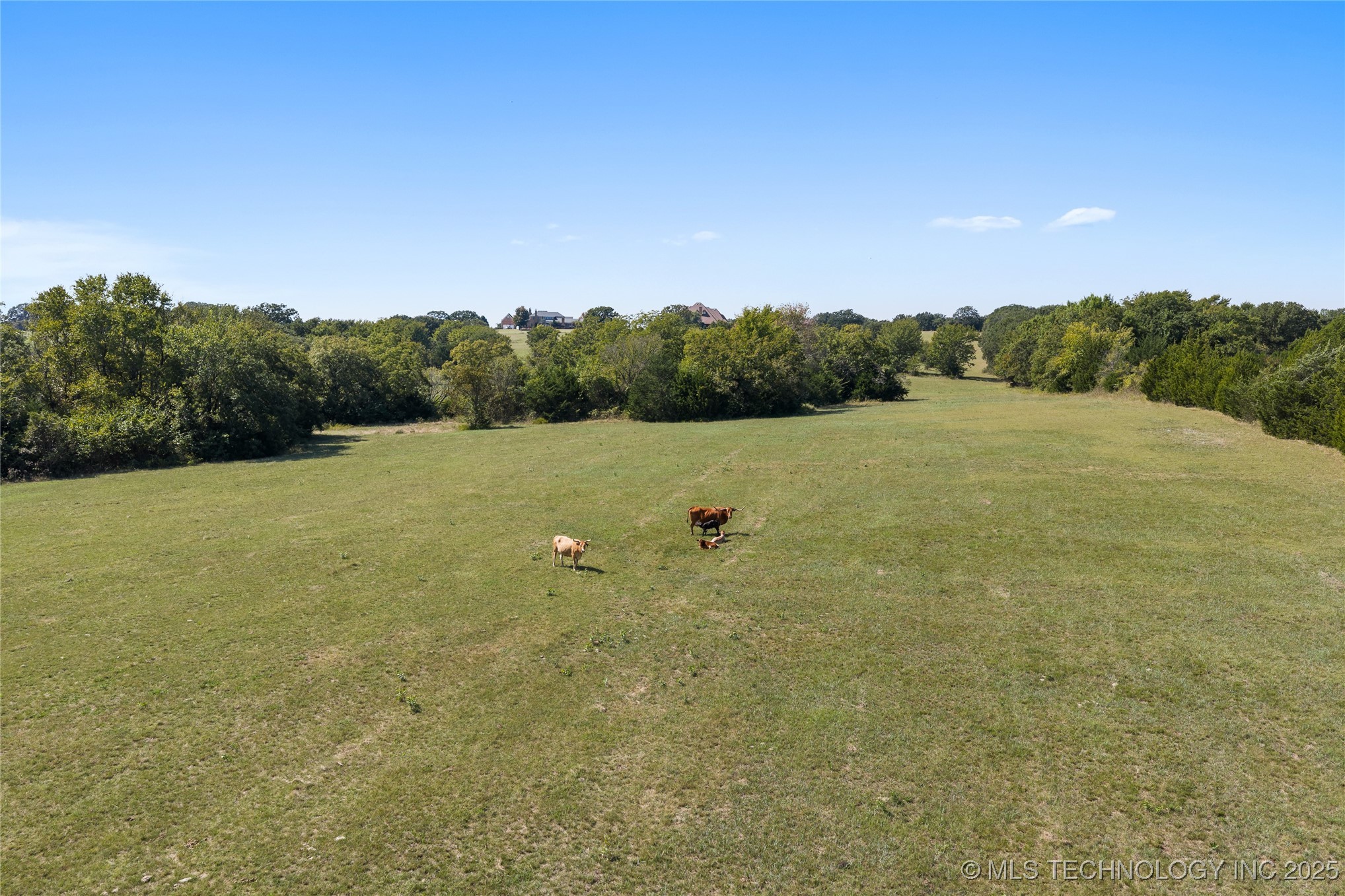 810 Gene Autry Road Property Photo 71