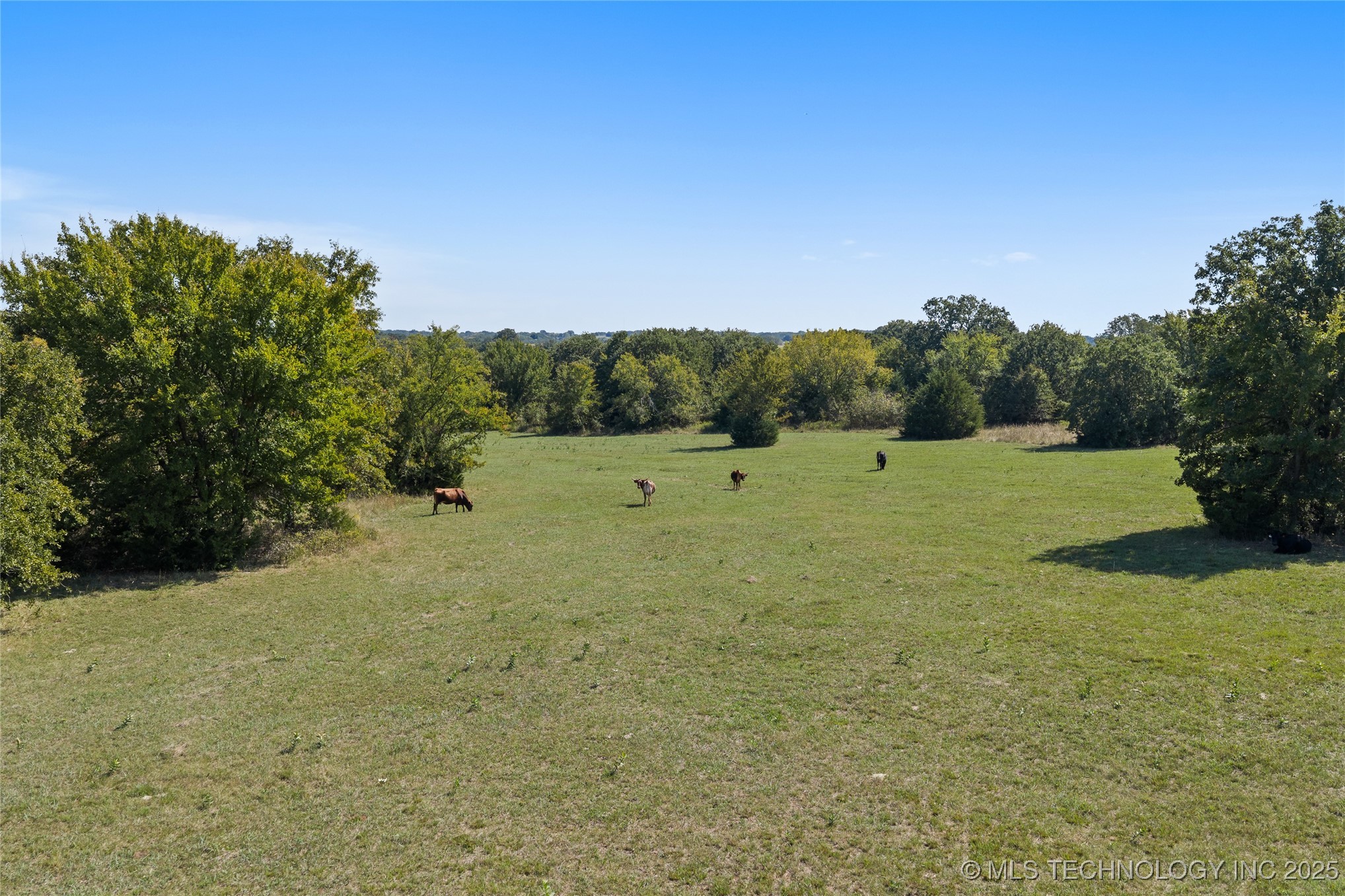 810 Gene Autry Road Property Photo 73